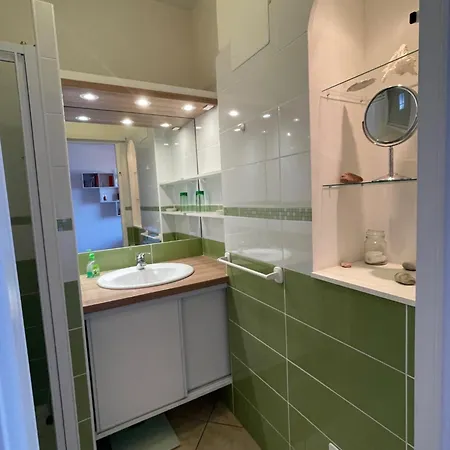 Le Petit Paradis Avec Vue Ajaccio (Corsica)